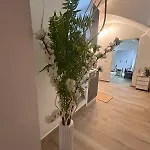 Διαμέρισμα Mariposa
