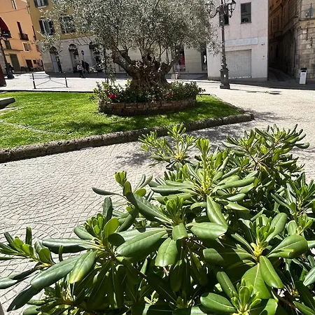 Mariposa